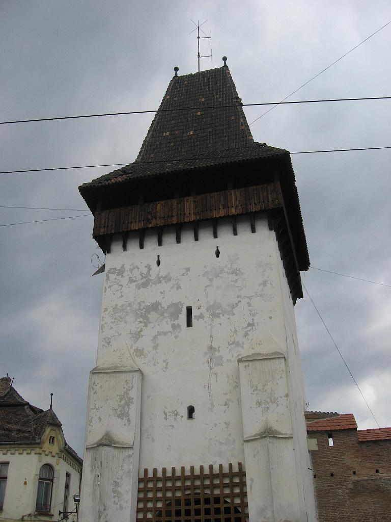 danes 2008 246 (79).jpg